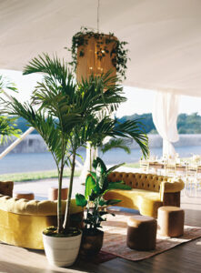 Biltmore Estate Asheville Wedding – Marcos and Gaby Reception tent lounge with velvet sofas, potted plants, and chic lighting decor at Biltmore Estate. Wedding planned by Asheville wedding planner Terran Ward — bold editorial design setup.