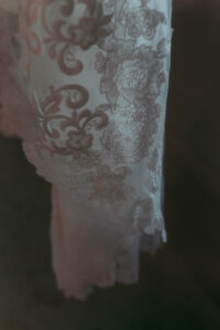 Daniela and Angelo Wedding Grand Bohemian Asheville Close-up of the designs on bride's lace gown. Wedding Planned by Terran Ward at The Grand Bohemian Asheville