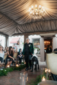 Daniela and Angelo Wedding Grand Bohemian Asheville Wedding guest walking down aisle with black dog under tent with chandeliers. Wedding Planned by Terran Ward at The Grand Bohemian Asheville
